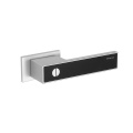 Aluminium Frame Glass Door Handle with Key